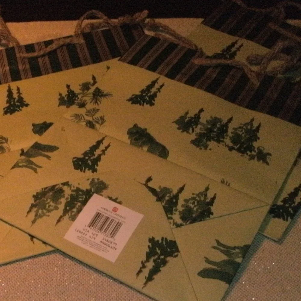 NWT LOT of 3 American Greetings WOLF OUTDOOR All Occasion Gift Bag 10x13